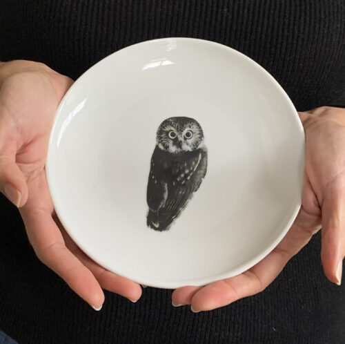 Saw Whet Owl Dessert Plate